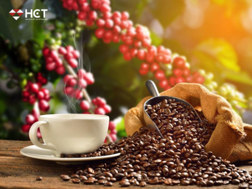 CƠ HỘI ĐẦU TƯ CÀ PHÊ ROBUSTA ICEEU THÁNG 11/2026 (RCX26) – Kiểm định vùng đáy dài hạn, kỳ vọng chu kỳ tăng mới nhờ rủi ro El Niño cuối năm